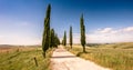 Italian cypress trees alley and a white road to farmhouse in rural landscape. Italian countryside of Tuscany, Italy, Europe
