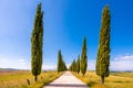 Italian cypress trees alley and a white road to farmhouse in rural landscape. Italian countryside of Tuscany, Italy, Europe