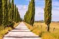 Italian cypress trees alley and a white road to farmhouse in rural landscape. Italian countryside of Tuscany, Italy, Europe