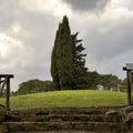 Italian Cypress trees atop the Hill of Calvary, Montecalvario, near Castellina in Chianti, Italy.