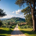 Italian cypress trees rows and a white road rural landscape. Siena, Tuscany, Italy, Europe. made with Generative AI Royalty Free Stock Photo