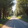 Italian cypress trees rows and a white road rural landscape. Siena, Tuscany, Italy, Europe. made with Generative AI Royalty Free Stock Photo