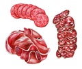 Italian delicacies prosciutto, soppressata and salami. Watercolor illustration Royalty Free Stock Photo