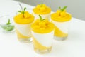 Italian dessert mango panna cotta