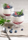 Italian dessert panna cotta Royalty Free Stock Photo