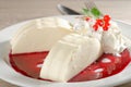 Italian dessert Panna cotta with red currant Royalty Free Stock Photo