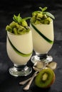 Italian dessert -pannacotta with kiwi fruit.