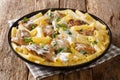 Italian dinner of pasta Tortiglioni with chicken in cheese cream sauce with herbs close up in a dish. horizontal Royalty Free Stock Photo