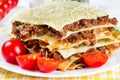 Italian dish lasagna