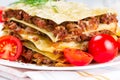 Italian dish lasagna