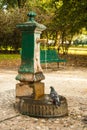 Italian drinking well in a park with water and pigeon. Royalty Free Stock Photo
