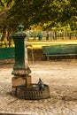 Italian drinking well in a park with water and pigeon.