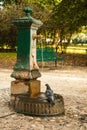 Italian drinking well in a park with water and pigeon. Royalty Free Stock Photo