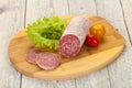 Italian dry Saliami pork sausage