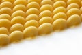 Italian durum wheat pasta pattern, Pipe Rigate or Lumaconi Type Royalty Free Stock Photo