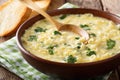 Italian egg cream soup stracciatella with farfalline pasta and c Royalty Free Stock Photo