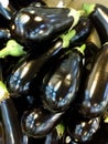 Italian Eggplant