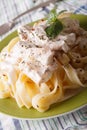 Italian fettuccine pasta with chicken and cream sauce close-up. Royalty Free Stock Photo