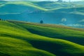 Italian fields Royalty Free Stock Photo