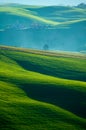 Italian fields Royalty Free Stock Photo