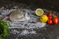 Italian fish, dorado raw with parsley, tomatoes and lemon