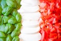 Italian flag from food