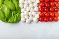 Italian flag made with Tomato Mozzarella and Basil. The concept of Italian cuisine on a light background. Top view with copy space Royalty Free Stock Photo