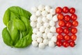 Italian flag made with Tomato Mozzarella and Basil. The concept of Italian cuisine on a light background. Top view with. Flat lay Royalty Free Stock Photo