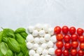 Italian flag made with Tomato Mozzarella and Basil. The concept Royalty Free Stock Photo