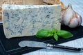 Italian food, buttery or firm blue cheese made from cow milk in Gorgonzola, Milan, Italy