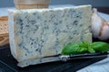 Italian food, buttery or firm blue cheese made from cow milk in Gorgonzola, Milan, Italy