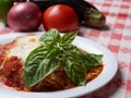 Italian food combination of lasagna, small side salad and garlic knots with whole raw vegetables on the background