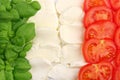 Italian food flag Royalty Free Stock Photo