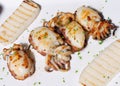 Italian food, grilled squids Royalty Free Stock Photo