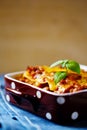 Italian Food. Lasagna plate. Royalty Free Stock Photo