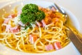 Italian food pasta with cheese sauce, Spaghetti carbonara with chopped bacon, cheese sauce on white dish over wooden table Royalty Free Stock Photo