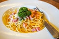 Italian food pasta with cheese sauce, Spaghetti carbonara with chopped bacon, cheese sauce on white dish over wooden table Royalty Free Stock Photo