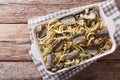 Italian food: pasta with sardines, fennel, raisins and pine nuts Royalty Free Stock Photo