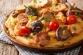 Italian food penne pasta with chicken, wild mushrooms, smoked sausage with creamy cheese sauce close-up on a plate on the table.