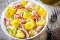 Italian food: salad with octopus, potatoes and onions Royalty Free Stock Photo