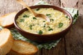 Italian food: soup stracciatella with farfalline and cheese close-up. horizontal Royalty Free Stock Photo