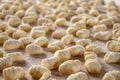 Italian food speciality: hand made potato gnocchi on a wooden board, ready to be cooked. Home made and hand rolled on a fork. Royalty Free Stock Photo