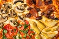 Italian Four Seasons Pizza Royalty Free Stock Photo