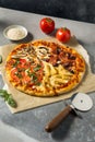 Italian Four Seasons Pizza Royalty Free Stock Photo