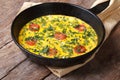 Italian frittata with tomatoes and herbs in the pan Royalty Free Stock Photo