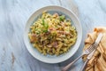 Italian Fusilli Pasta Mollicata Royalty Free Stock Photo