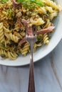 Italian Fusilli Pasta Mollicata Royalty Free Stock Photo