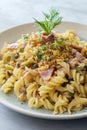 Italian Fusilli Pasta Mollicata Royalty Free Stock Photo