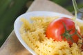 Italian fusilli pasta with tomatoes Royalty Free Stock Photo