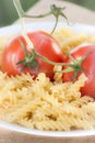 Italian fusilli pasta with tomatoes Royalty Free Stock Photo